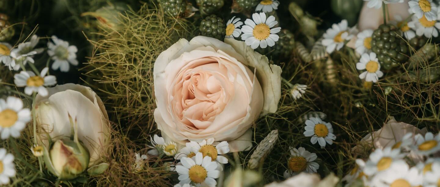 AAA